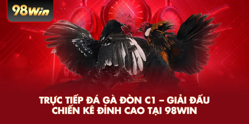 Trực Tiếp Đá Gà Đòn C1 – Giải Đấu Chiến Kê Đỉnh Cao Tại 98WIN
